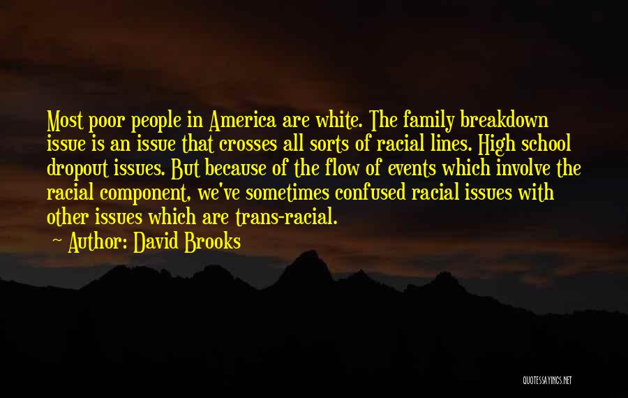 David Brooks Quotes: Most Poor People In America Are White. The Family Breakdown Issue Is An Issue That Crosses All Sorts Of Racial