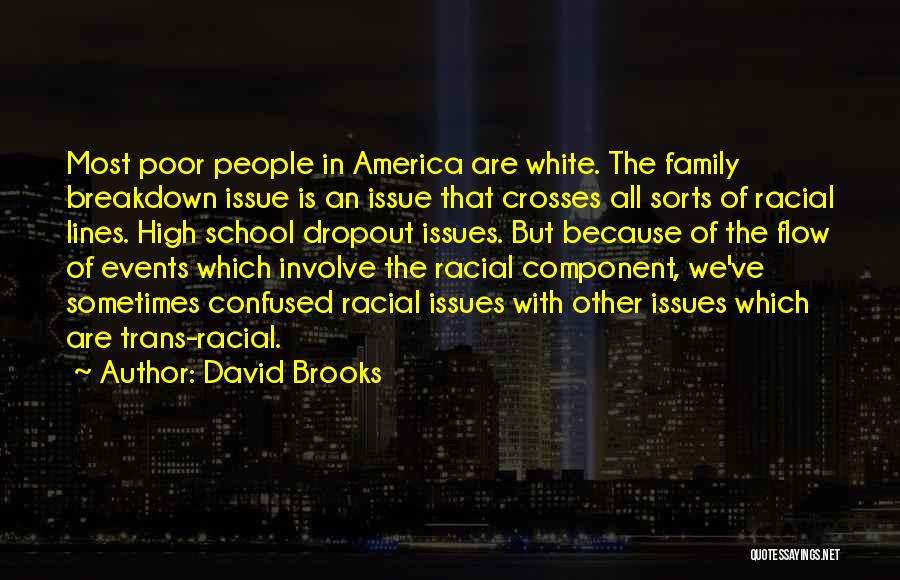 David Brooks Quotes: Most Poor People In America Are White. The Family Breakdown Issue Is An Issue That Crosses All Sorts Of Racial