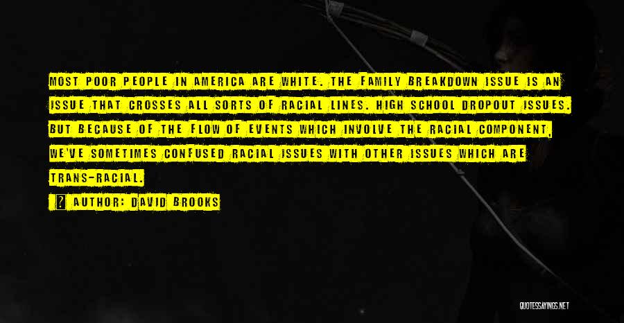 David Brooks Quotes: Most Poor People In America Are White. The Family Breakdown Issue Is An Issue That Crosses All Sorts Of Racial