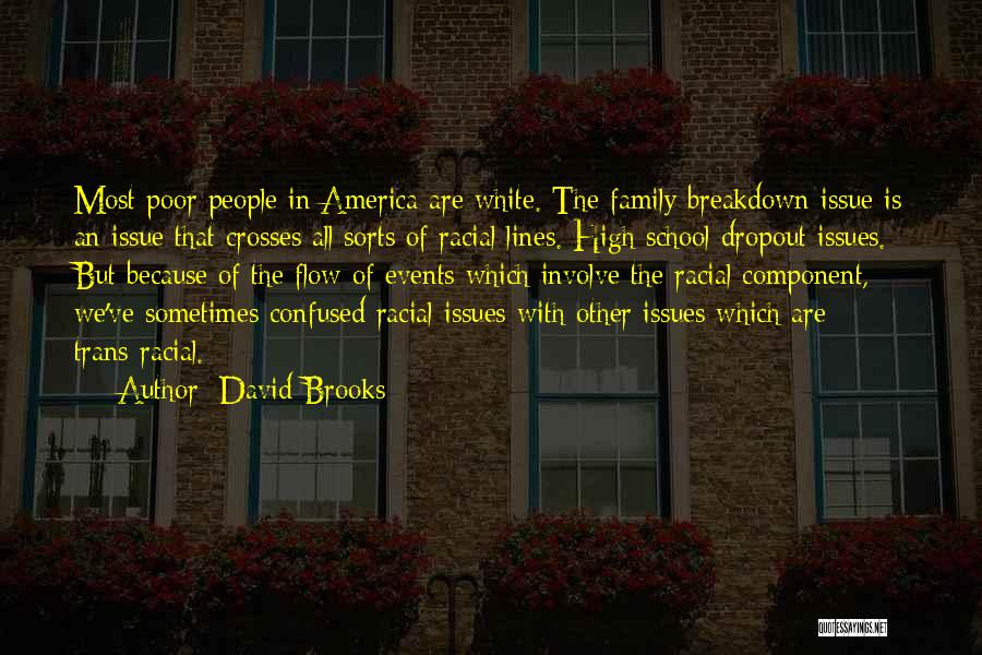 David Brooks Quotes: Most Poor People In America Are White. The Family Breakdown Issue Is An Issue That Crosses All Sorts Of Racial
