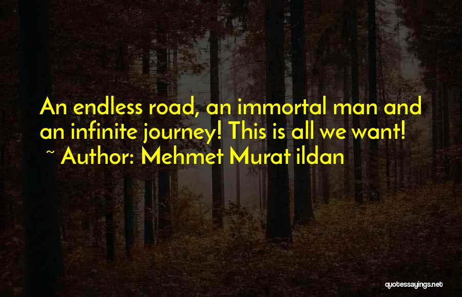 Mehmet Murat Ildan Quotes: An Endless Road, An Immortal Man And An Infinite Journey! This Is All We Want!