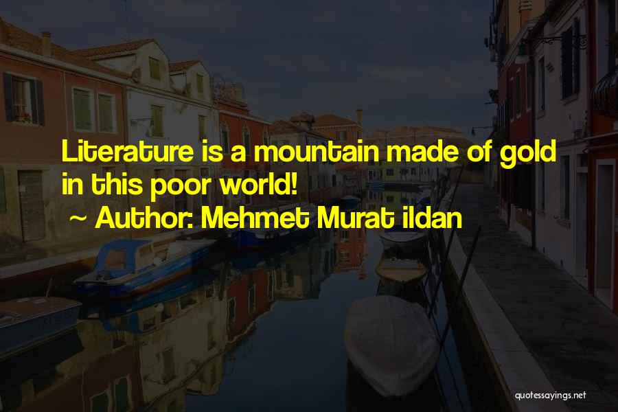 Mehmet Murat Ildan Quotes: Literature Is A Mountain Made Of Gold In This Poor World!