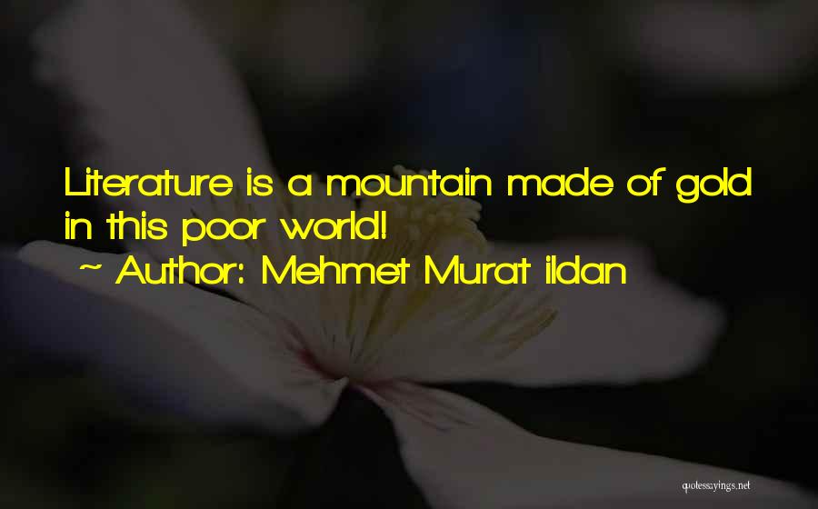 Mehmet Murat Ildan Quotes: Literature Is A Mountain Made Of Gold In This Poor World!