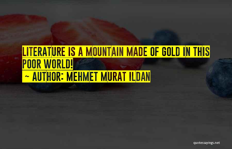Mehmet Murat Ildan Quotes: Literature Is A Mountain Made Of Gold In This Poor World!
