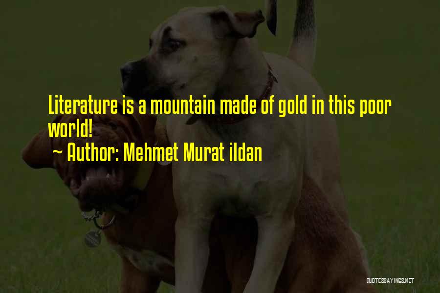 Mehmet Murat Ildan Quotes: Literature Is A Mountain Made Of Gold In This Poor World!
