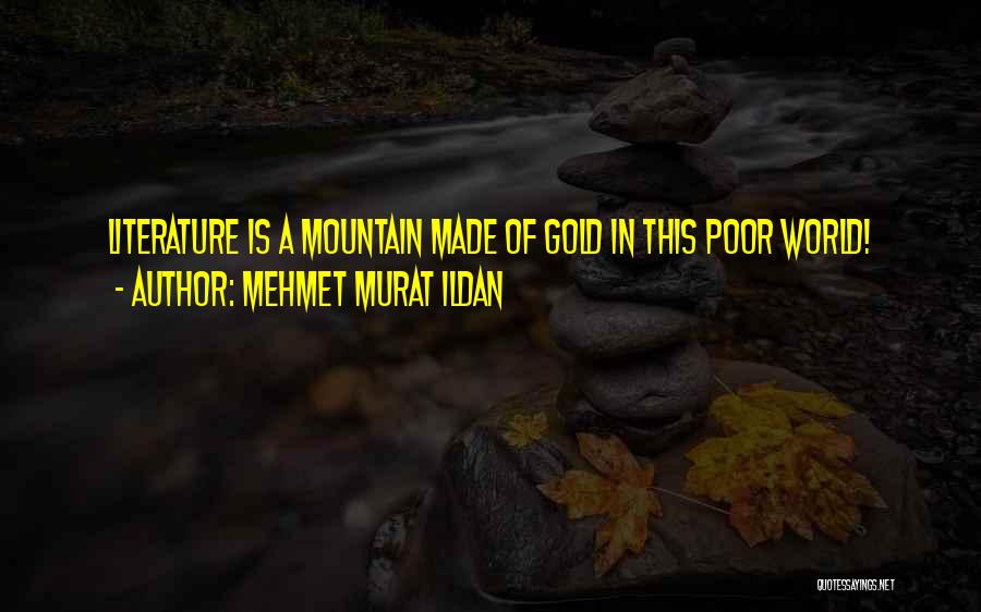 Mehmet Murat Ildan Quotes: Literature Is A Mountain Made Of Gold In This Poor World!