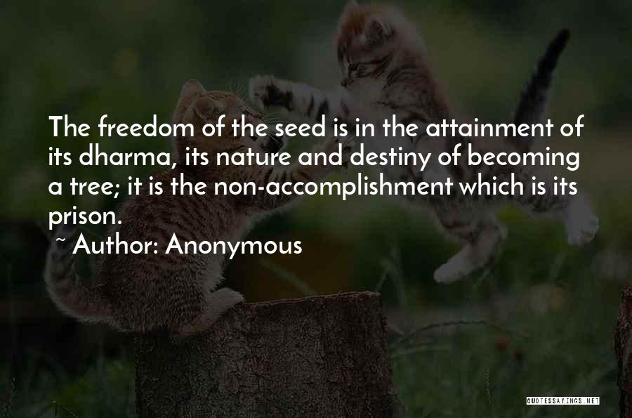 Anonymous Quotes: The Freedom Of The Seed Is In The Attainment Of Its Dharma, Its Nature And Destiny Of Becoming A Tree;