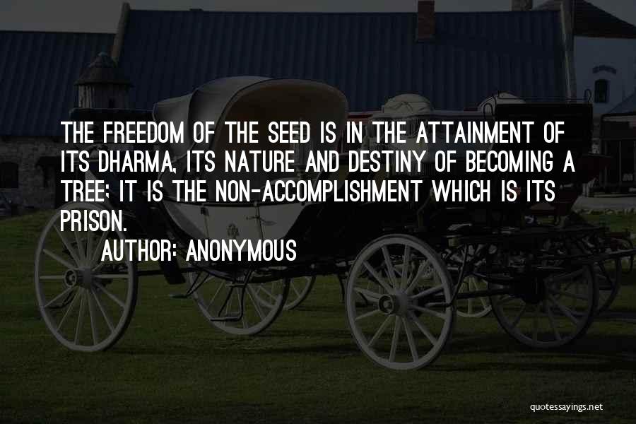 Anonymous Quotes: The Freedom Of The Seed Is In The Attainment Of Its Dharma, Its Nature And Destiny Of Becoming A Tree;
