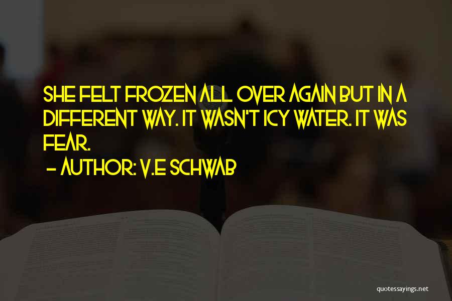 V.E Schwab Quotes: She Felt Frozen All Over Again But In A Different Way. It Wasn't Icy Water. It Was Fear.