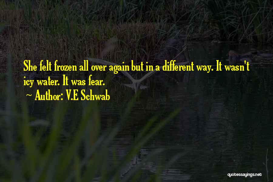 V.E Schwab Quotes: She Felt Frozen All Over Again But In A Different Way. It Wasn't Icy Water. It Was Fear.