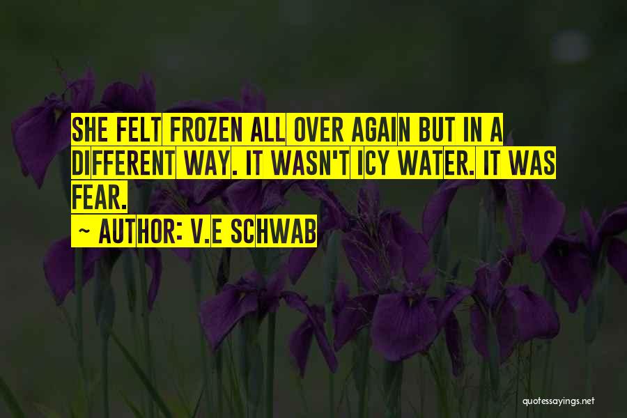 V.E Schwab Quotes: She Felt Frozen All Over Again But In A Different Way. It Wasn't Icy Water. It Was Fear.