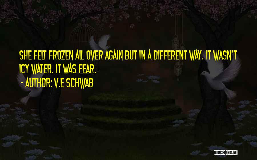 V.E Schwab Quotes: She Felt Frozen All Over Again But In A Different Way. It Wasn't Icy Water. It Was Fear.