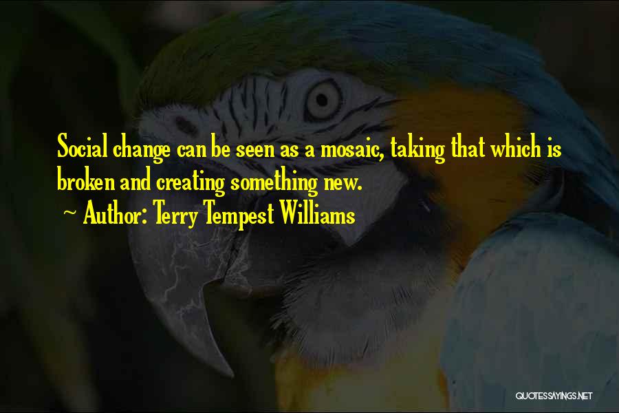 Terry Tempest Williams Quotes: Social Change Can Be Seen As A Mosaic, Taking That Which Is Broken And Creating Something New.