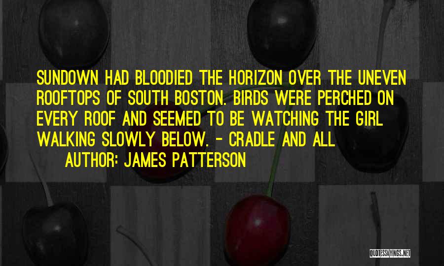 James Patterson Quotes: Sundown Had Bloodied The Horizon Over The Uneven Rooftops Of South Boston. Birds Were Perched On Every Roof And Seemed