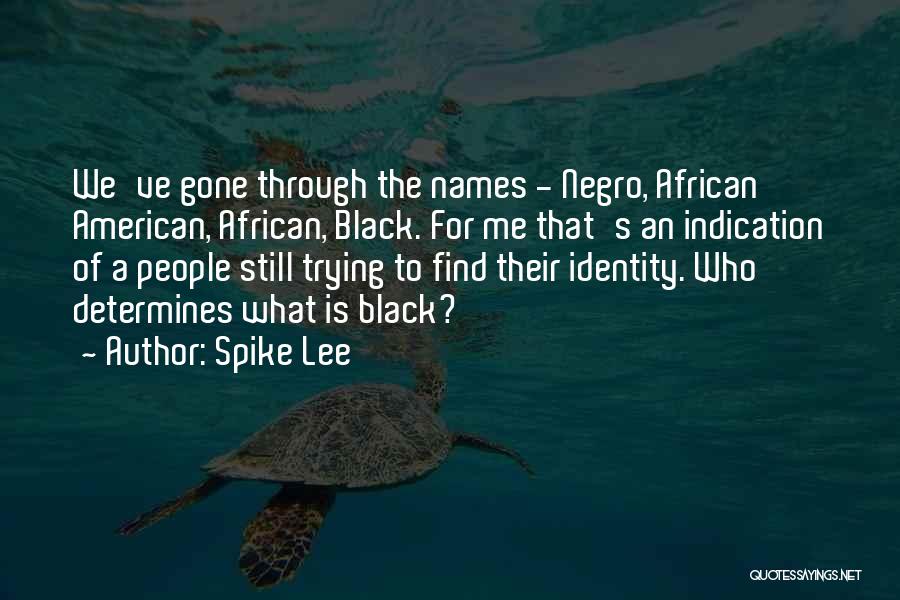 Spike Lee Quotes: We've Gone Through The Names - Negro, African American, African, Black. For Me That's An Indication Of A People Still