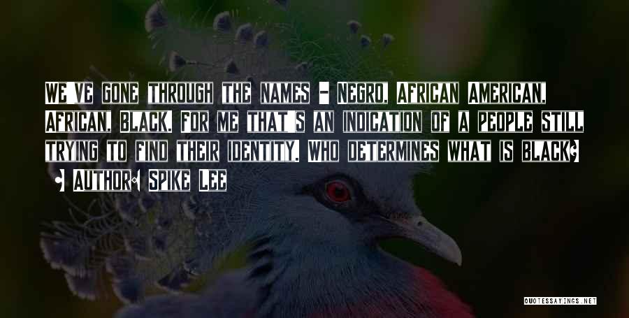 Spike Lee Quotes: We've Gone Through The Names - Negro, African American, African, Black. For Me That's An Indication Of A People Still