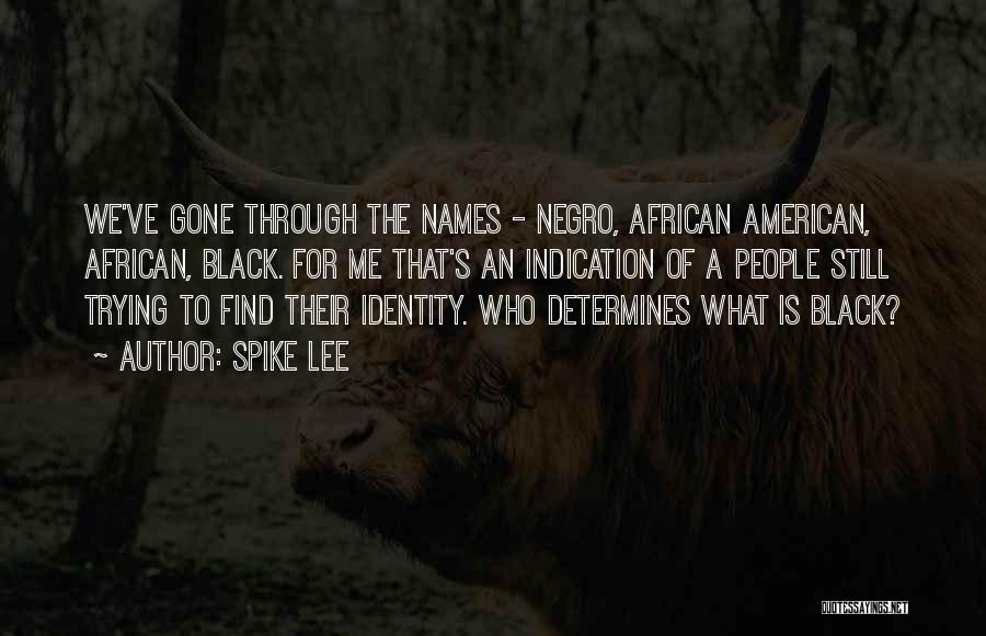 Spike Lee Quotes: We've Gone Through The Names - Negro, African American, African, Black. For Me That's An Indication Of A People Still