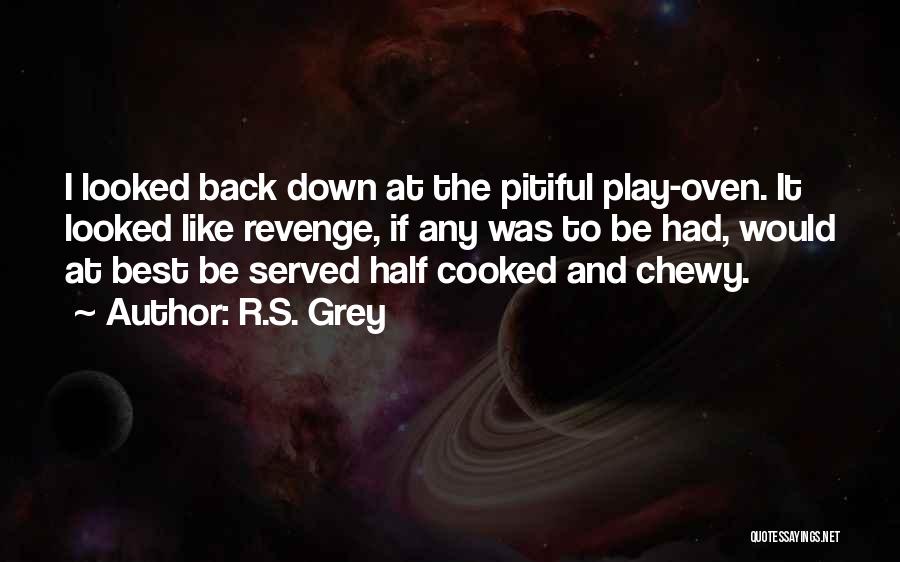 R.S. Grey Quotes: I Looked Back Down At The Pitiful Play-oven. It Looked Like Revenge, If Any Was To Be Had, Would At