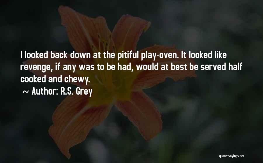 R.S. Grey Quotes: I Looked Back Down At The Pitiful Play-oven. It Looked Like Revenge, If Any Was To Be Had, Would At