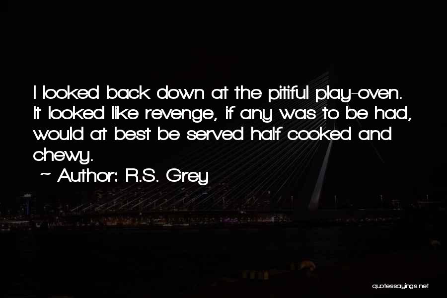 R.S. Grey Quotes: I Looked Back Down At The Pitiful Play-oven. It Looked Like Revenge, If Any Was To Be Had, Would At