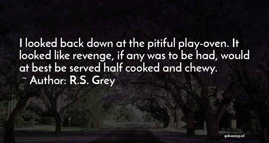 R.S. Grey Quotes: I Looked Back Down At The Pitiful Play-oven. It Looked Like Revenge, If Any Was To Be Had, Would At