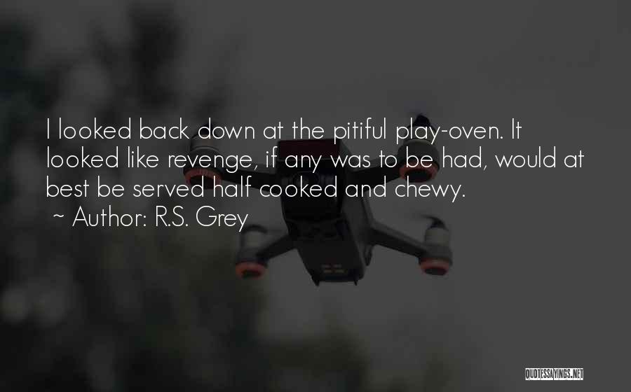 R.S. Grey Quotes: I Looked Back Down At The Pitiful Play-oven. It Looked Like Revenge, If Any Was To Be Had, Would At