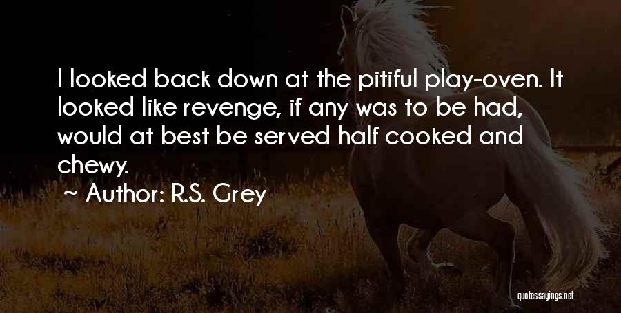 R.S. Grey Quotes: I Looked Back Down At The Pitiful Play-oven. It Looked Like Revenge, If Any Was To Be Had, Would At