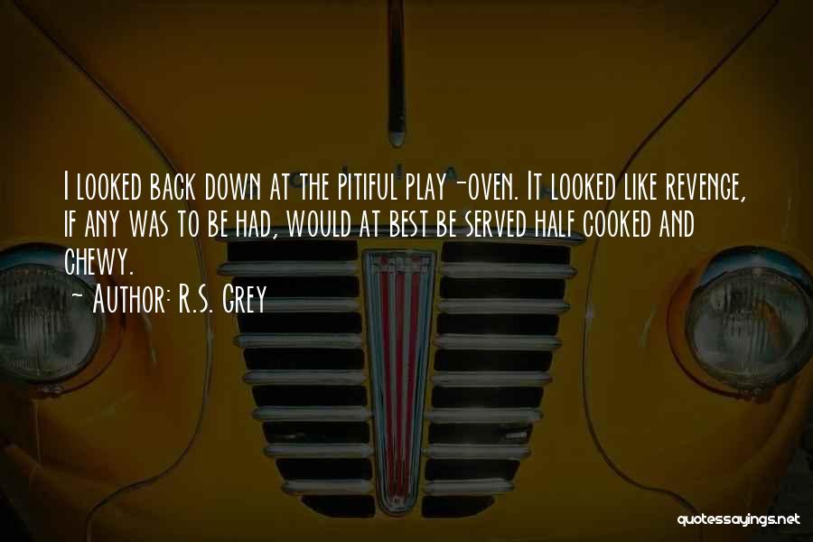 R.S. Grey Quotes: I Looked Back Down At The Pitiful Play-oven. It Looked Like Revenge, If Any Was To Be Had, Would At