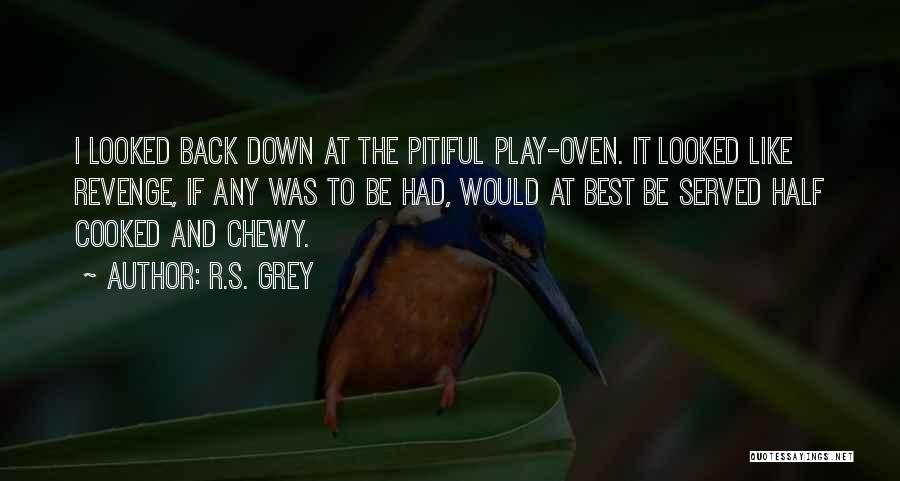 R.S. Grey Quotes: I Looked Back Down At The Pitiful Play-oven. It Looked Like Revenge, If Any Was To Be Had, Would At