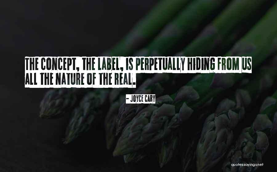 17scd Quotes By Joyce Cary 17scd Quotes By Joyce Cary