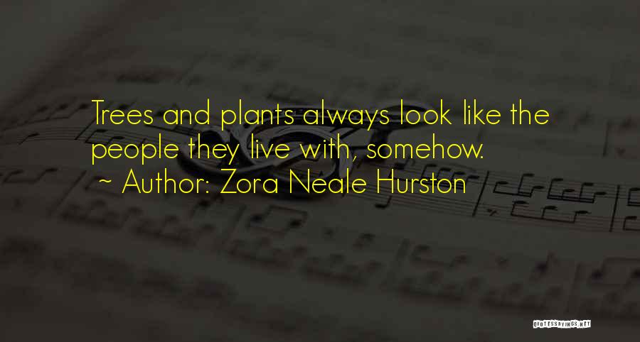 1800 1801 Quotes By Zora Neale Hurston