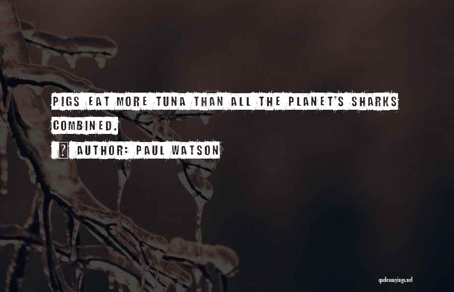 1800 Tequila Quotes By Paul Watson