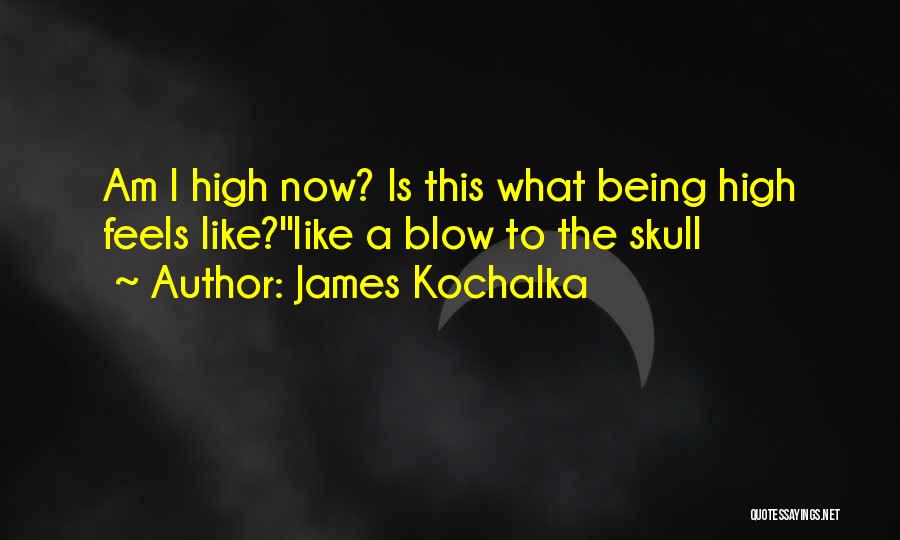 James Kochalka Quotes: Am I High Now? Is This What Being High Feels Like?''like A Blow To The Skull