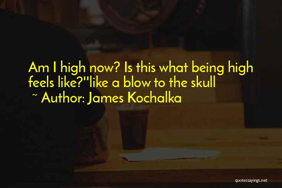 James Kochalka Quotes: Am I High Now? Is This What Being High Feels Like?''like A Blow To The Skull