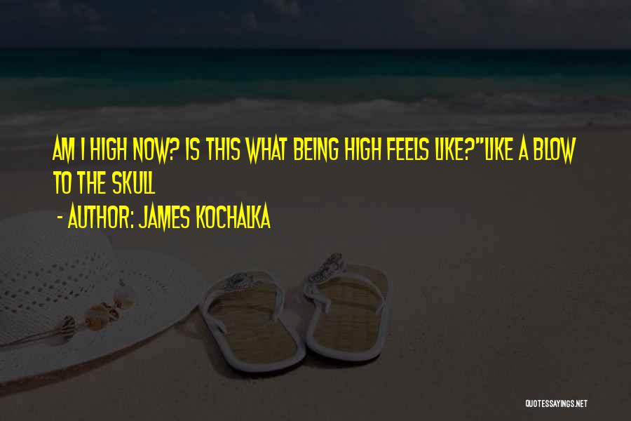 James Kochalka Quotes: Am I High Now? Is This What Being High Feels Like?''like A Blow To The Skull