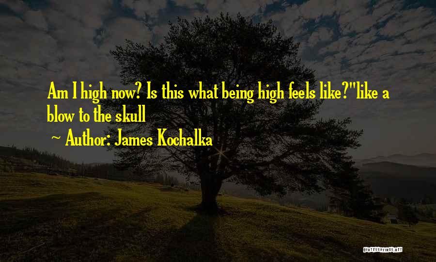 James Kochalka Quotes: Am I High Now? Is This What Being High Feels Like?''like A Blow To The Skull