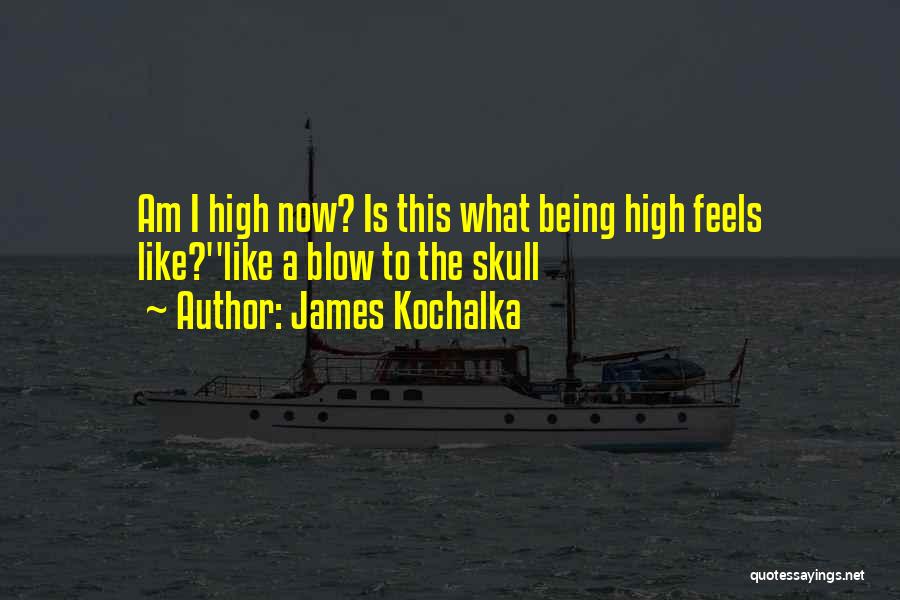 James Kochalka Quotes: Am I High Now? Is This What Being High Feels Like?''like A Blow To The Skull