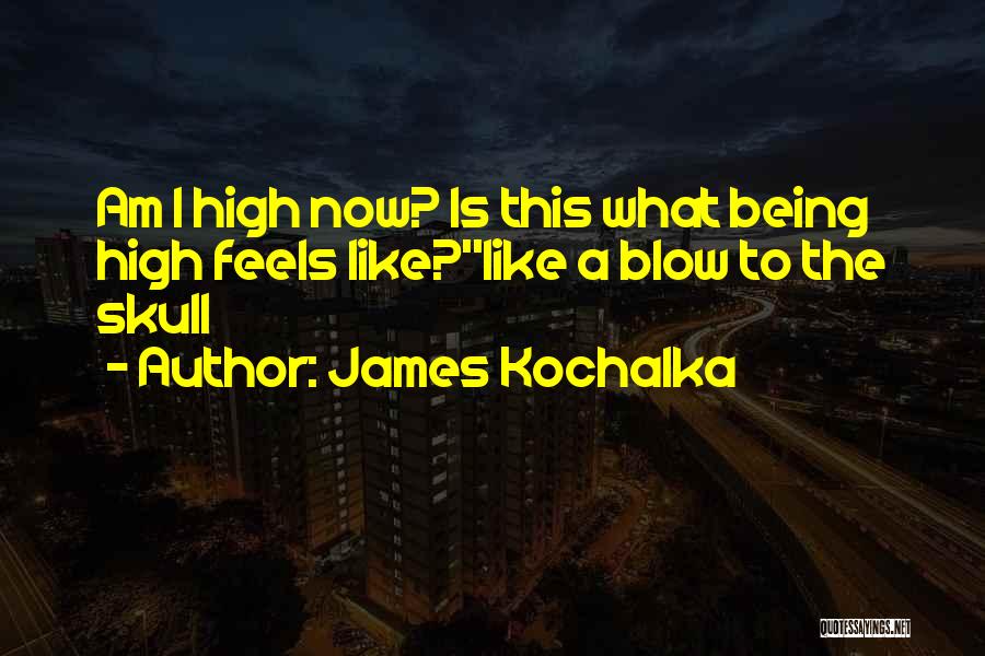 James Kochalka Quotes: Am I High Now? Is This What Being High Feels Like?''like A Blow To The Skull
