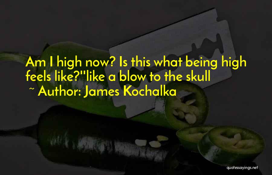 James Kochalka Quotes: Am I High Now? Is This What Being High Feels Like?''like A Blow To The Skull