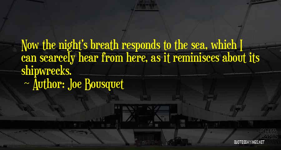 Joe Bousquet Quotes: Now The Night's Breath Responds To The Sea, Which I Can Scarcely Hear From Here, As It Reminisces About Its