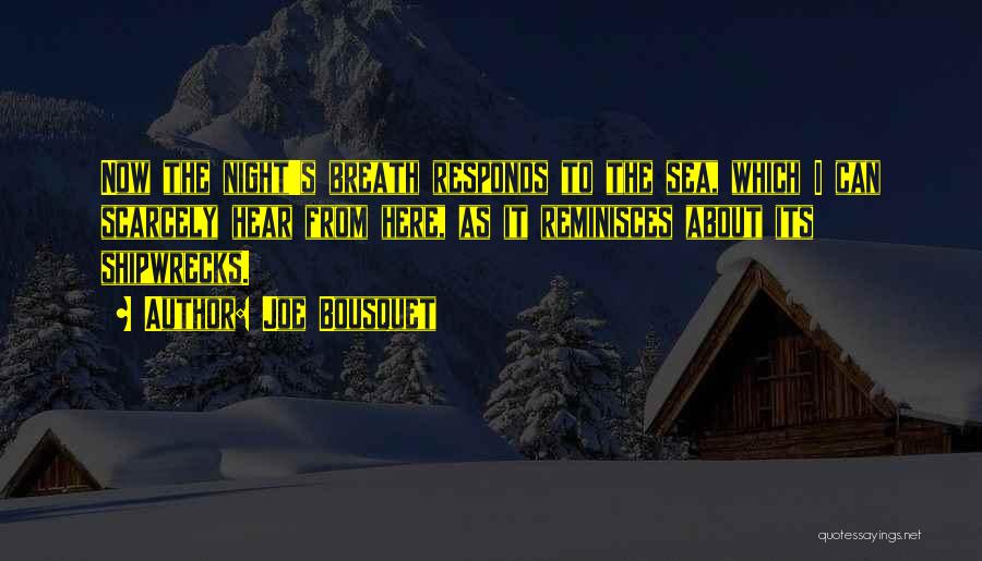 Joe Bousquet Quotes: Now The Night's Breath Responds To The Sea, Which I Can Scarcely Hear From Here, As It Reminisces About Its