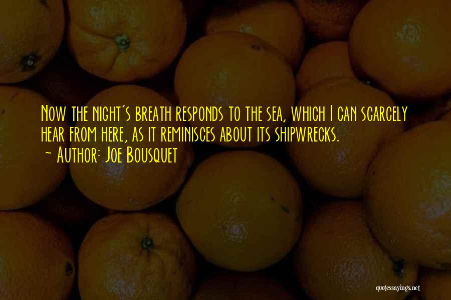 Joe Bousquet Quotes: Now The Night's Breath Responds To The Sea, Which I Can Scarcely Hear From Here, As It Reminisces About Its