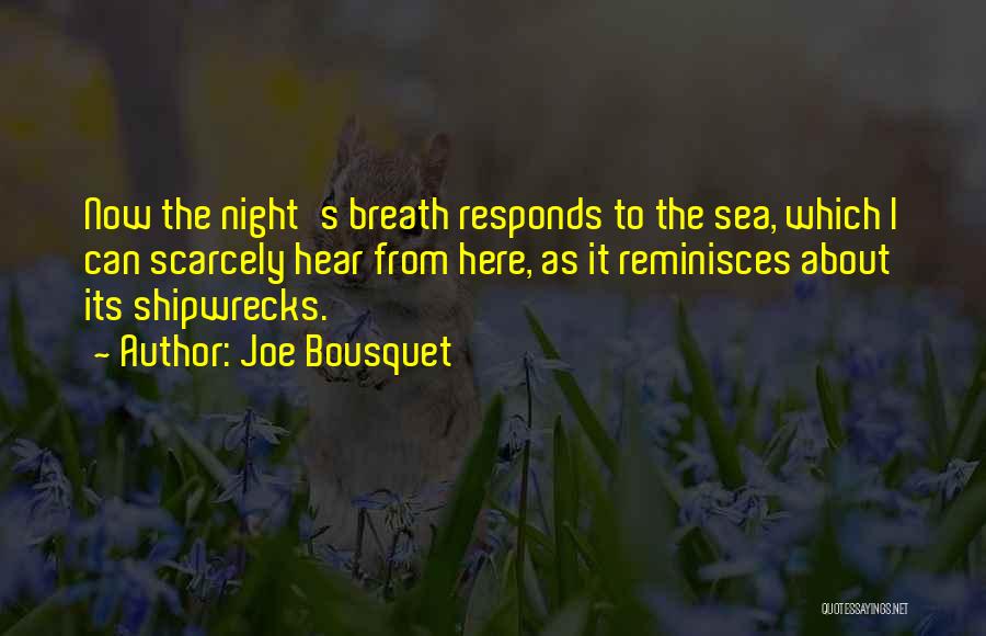 Joe Bousquet Quotes: Now The Night's Breath Responds To The Sea, Which I Can Scarcely Hear From Here, As It Reminisces About Its