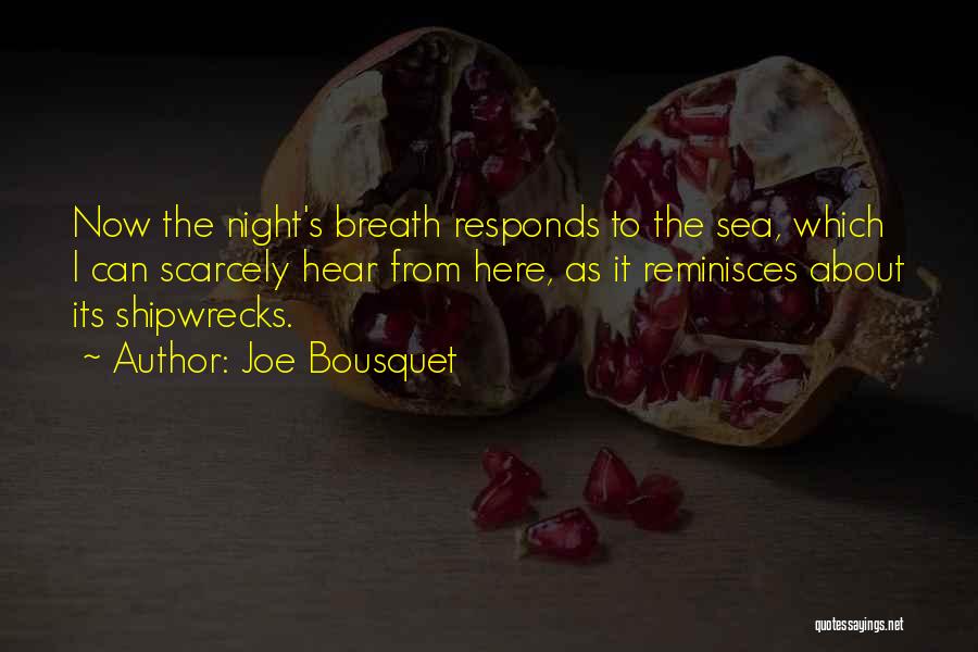 Joe Bousquet Quotes: Now The Night's Breath Responds To The Sea, Which I Can Scarcely Hear From Here, As It Reminisces About Its