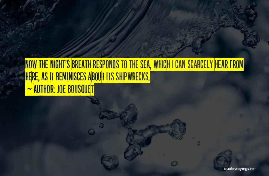 Joe Bousquet Quotes: Now The Night's Breath Responds To The Sea, Which I Can Scarcely Hear From Here, As It Reminisces About Its