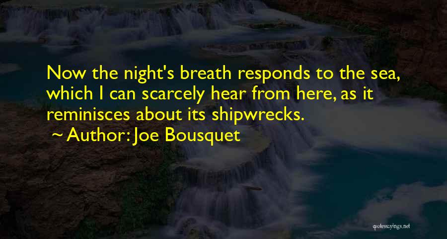 Joe Bousquet Quotes: Now The Night's Breath Responds To The Sea, Which I Can Scarcely Hear From Here, As It Reminisces About Its