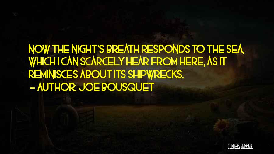 Joe Bousquet Quotes: Now The Night's Breath Responds To The Sea, Which I Can Scarcely Hear From Here, As It Reminisces About Its