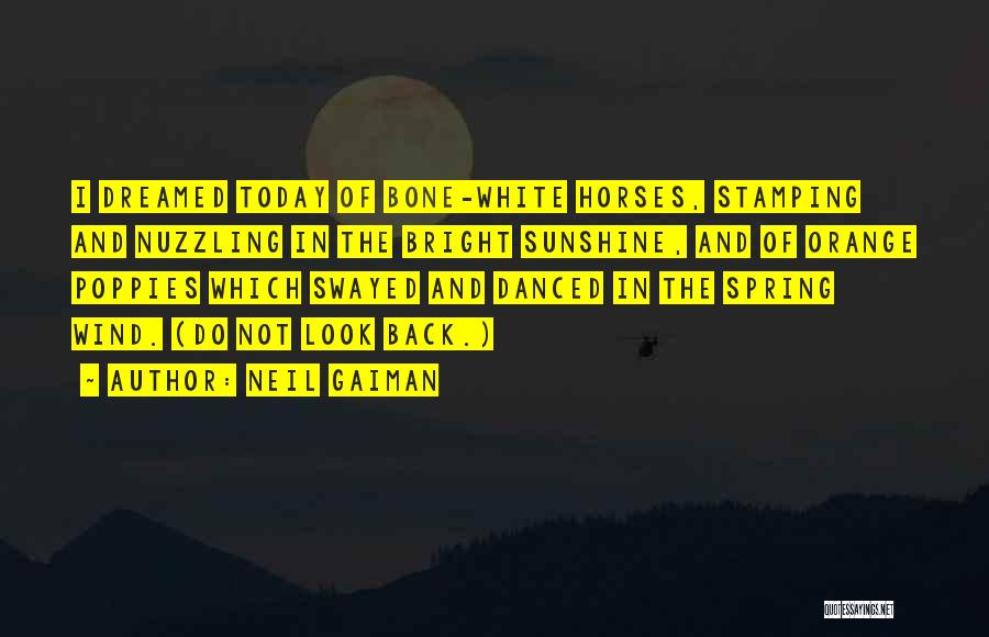 Neil Gaiman Quotes: I Dreamed Today Of Bone-white Horses, Stamping And Nuzzling In The Bright Sunshine, And Of Orange Poppies Which Swayed And