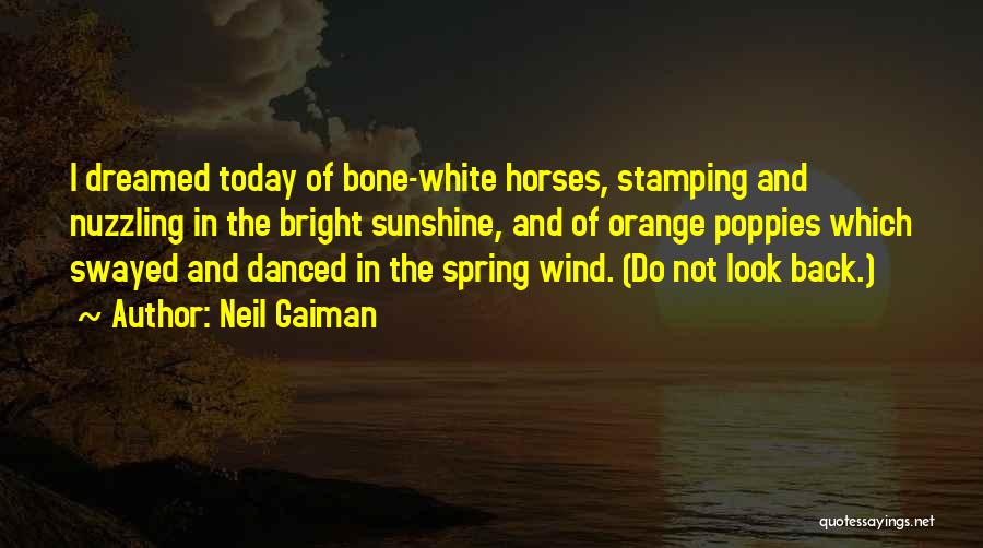 Neil Gaiman Quotes: I Dreamed Today Of Bone-white Horses, Stamping And Nuzzling In The Bright Sunshine, And Of Orange Poppies Which Swayed And