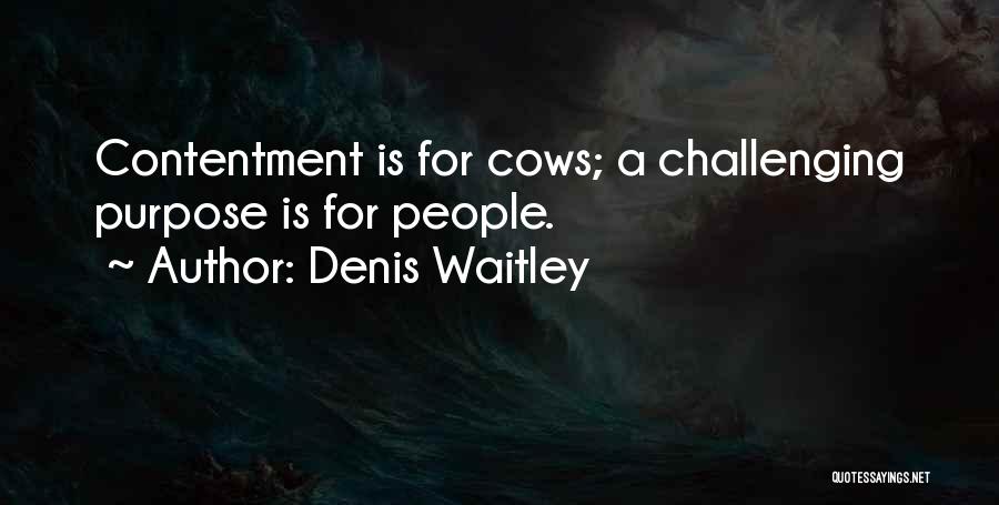 Denis Waitley Quotes: Contentment Is For Cows; A Challenging Purpose Is For People.